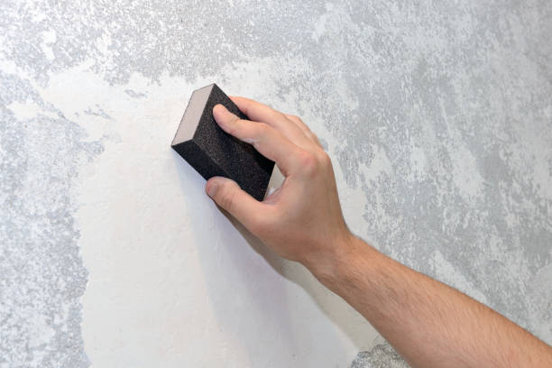Best Real Estate Mold Inspection  in Bull Valley, IL