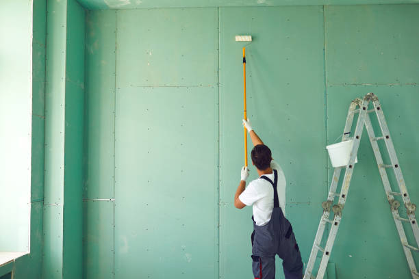 Best Commercial Mold Inspection  in Bull Valley, IL