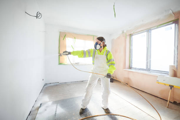 Best Black Mold Removal  in Bull Valley, IL