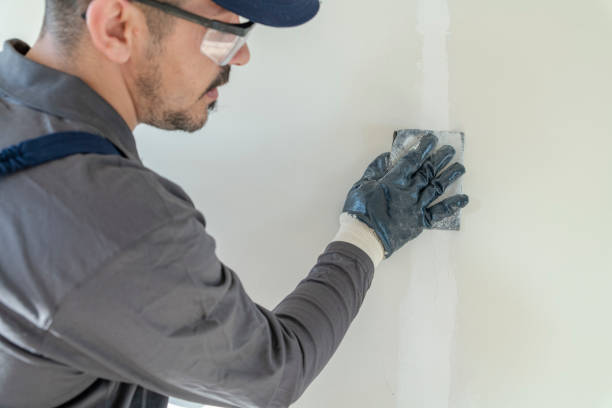 Best Post-Construction Mold Inspection  in Bull Valley, IL