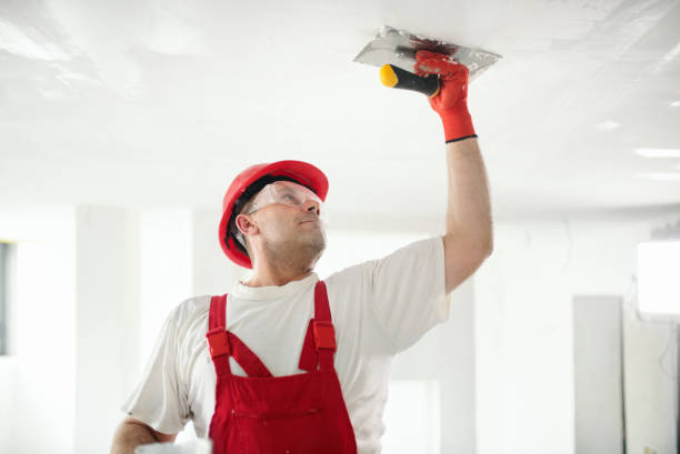 Best Basement Mold Removal  in Bull Valley, IL
