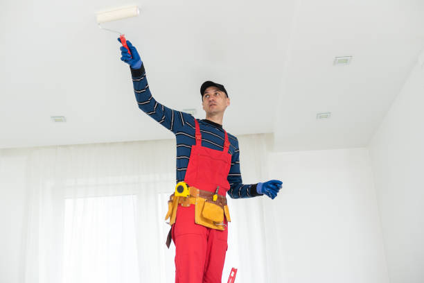Best Attic Mold Removal  in Bull Valley, IL