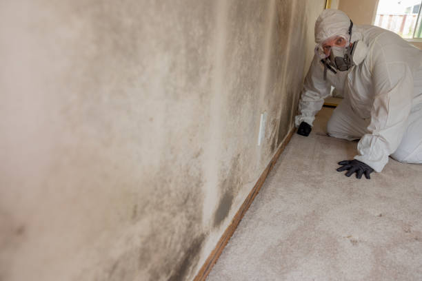 Best Indoor Air Quality Assessment  in Bull Valley, IL