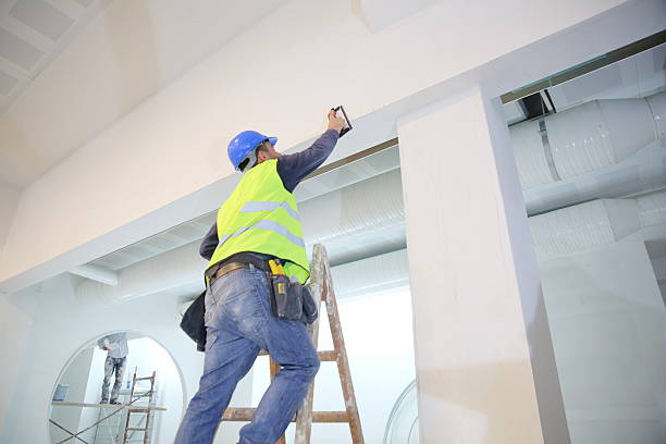 Best Water Damage & Mold Remediation  in Bull Valley, IL