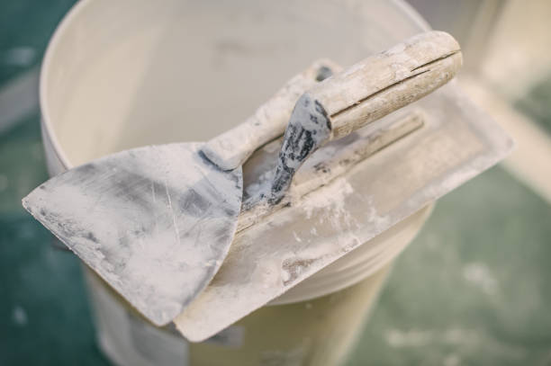 Best Crawl Space Mold Remediation  in Bull Valley, IL