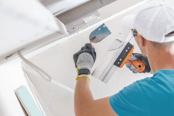 Best Mold Documentation for Insurance Claims  in Bull Valley, IL